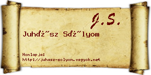 Juhász Sólyom névjegykártya